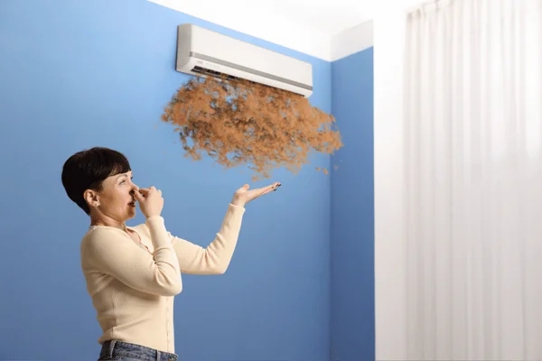 Indoor Air Quality How Poor Air Inside Your Home Impacts Health, Comfort, and Efficiency - Beyond Heating and Cooling Inc.